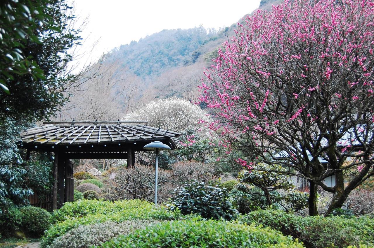 Yoshiike Ryokan Hakone Luaran gambar